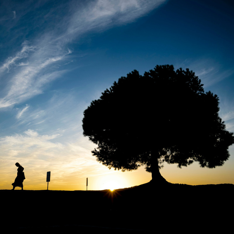 Aceptar o rechazar una herencia: cuándo conviene cada opción