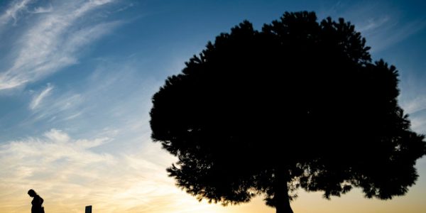 Aceptar o rechazar una herencia: cuándo conviene cada opción